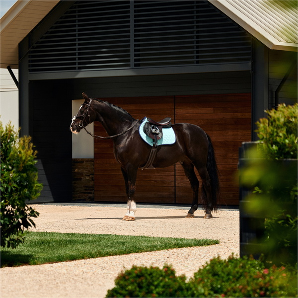 2026 WeatherBeeta Suede Elite Air-Tec Jump Shaped Saddle Pad 1030347001 - Aqua